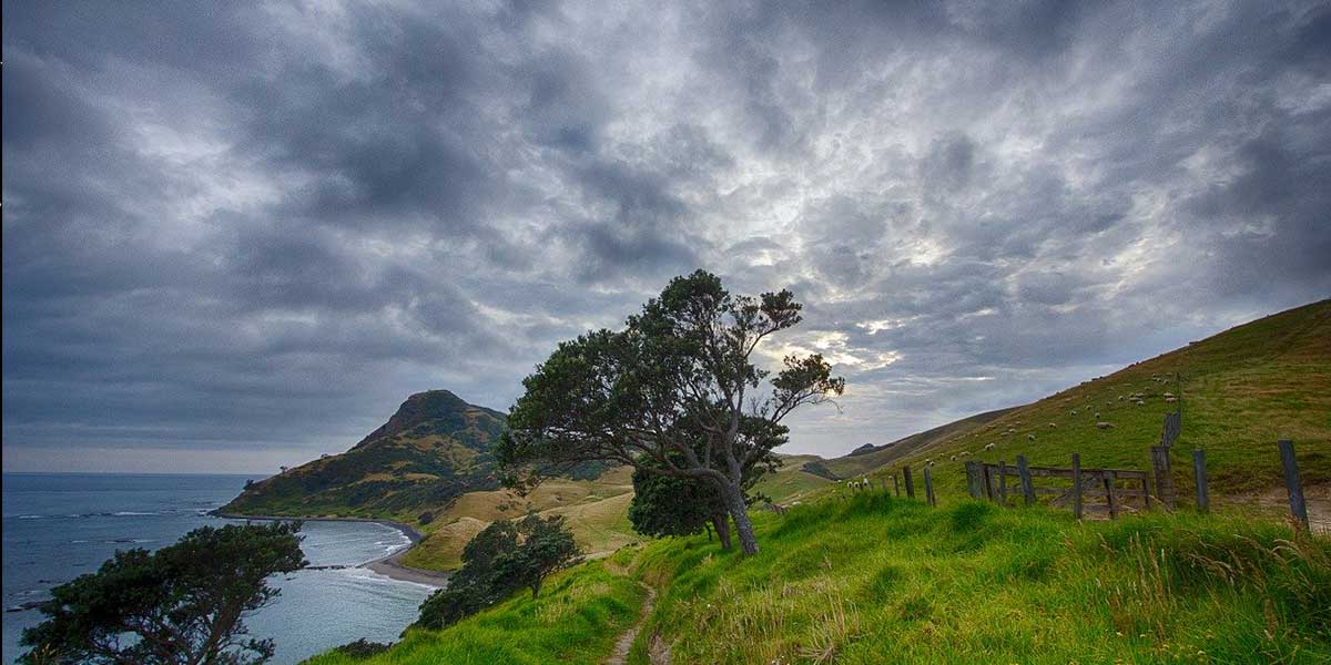 Al momento stai visualizzando Progresso e spiritualità, le meravigliose contraddizioni della Nuova Zelanda