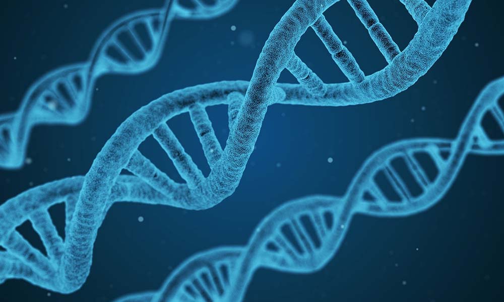 Al momento stai visualizzando DNA, la scaletta che ci racconta la vita